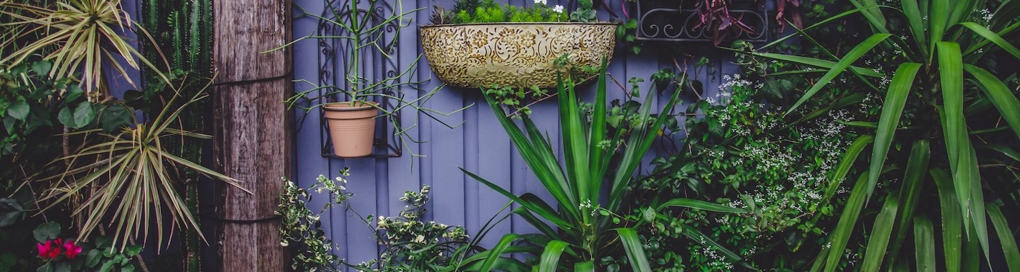 A backyard is an extension of what is going on inside our home, It can be colorful, casual or fun!