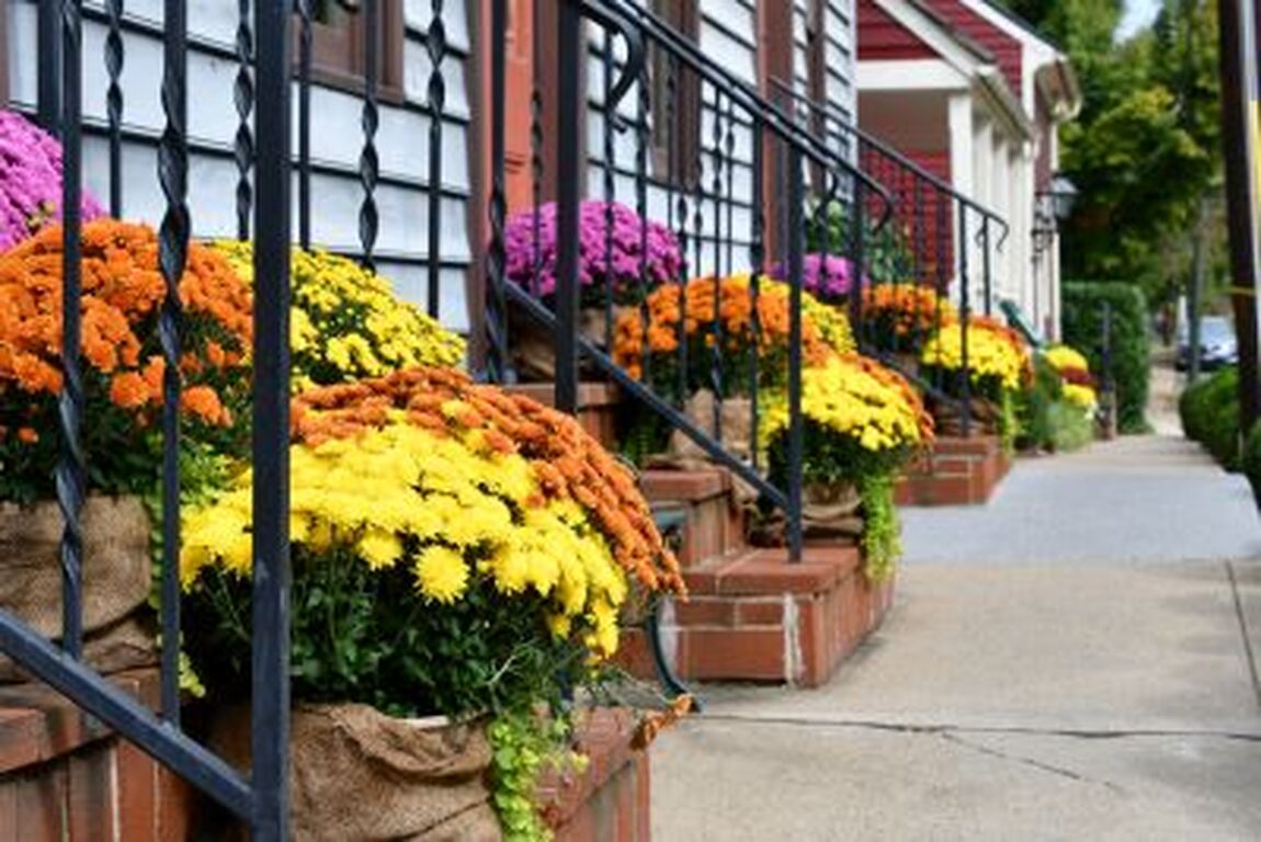 Curb Appeal 101: How to Make Your Home Irresistible to Buyers