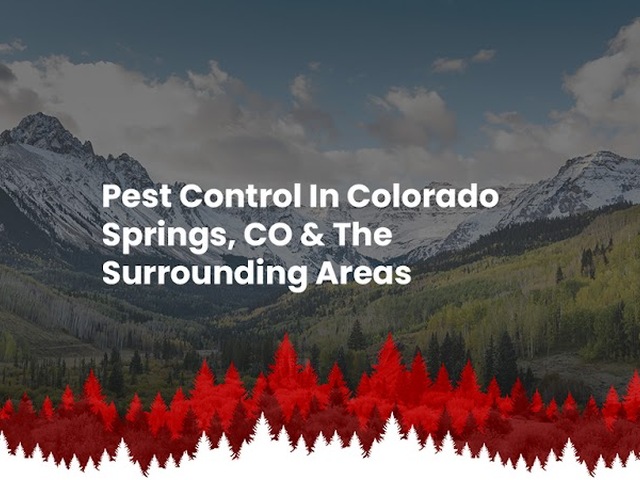 High Country Pest Control