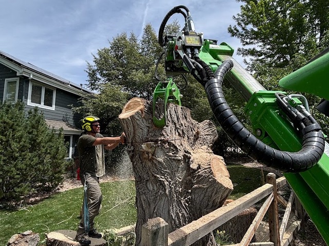 TOHO Tree Care