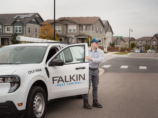 Falkin Pest Control
