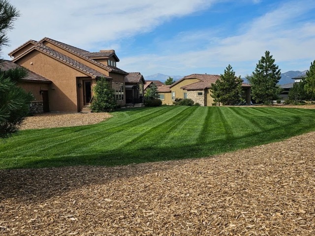 Lavish Lawns