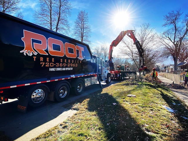 Root Tree Service