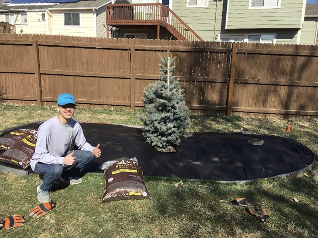 Little Man Landscaping LLC