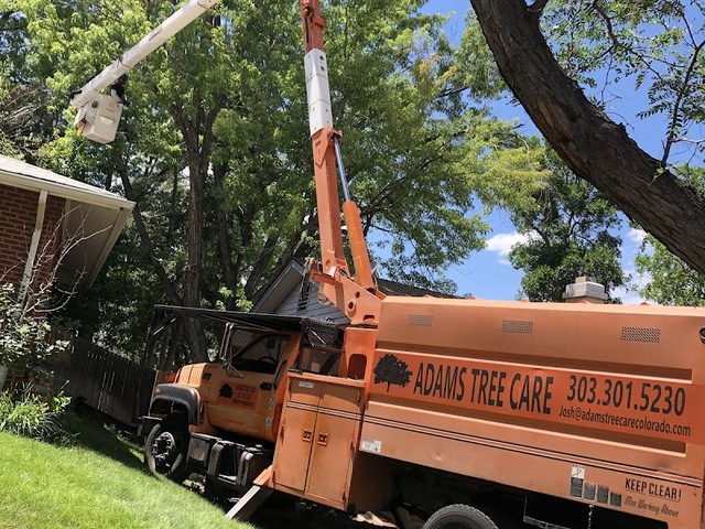 Adams Tree Care