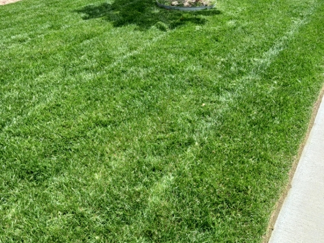 Crystal Valley Lawn Care