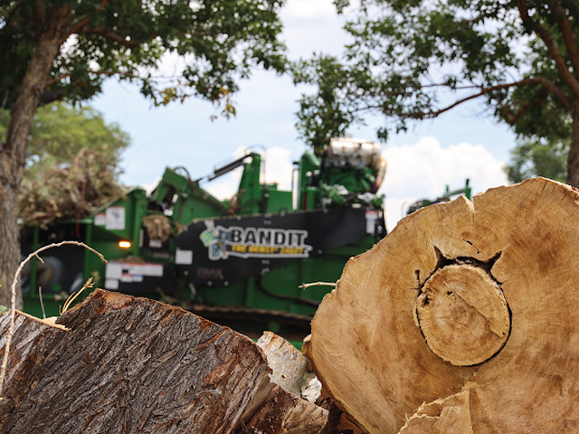 N&D Tree & Crane Services