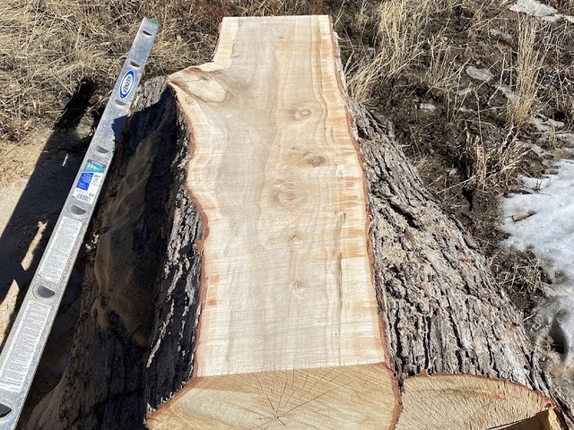 Arborist Prime LLC