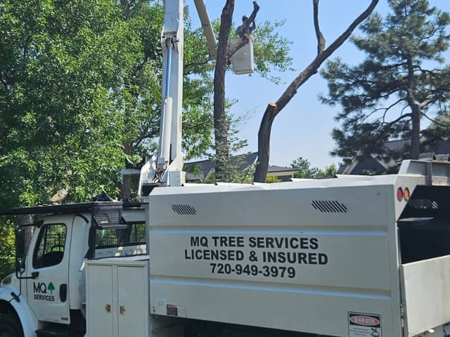 MQ Landscaping & Tree Services