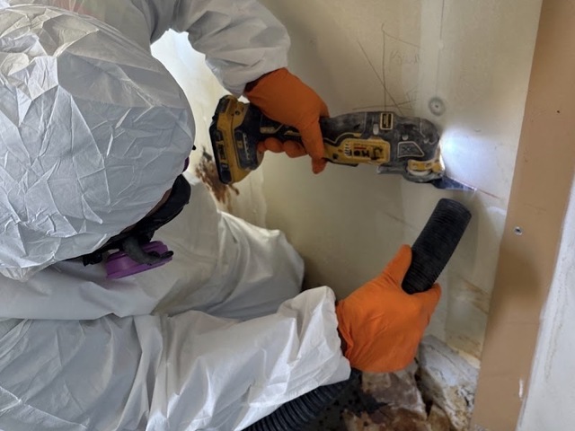 Abbotts Cleanup & Restoration