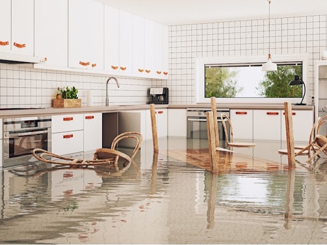 Fix It Water Damage and Mold Repair