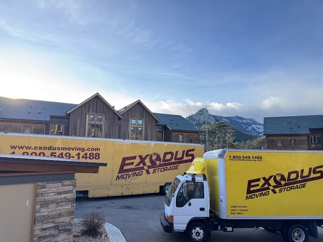 Exodus Moving & Storage