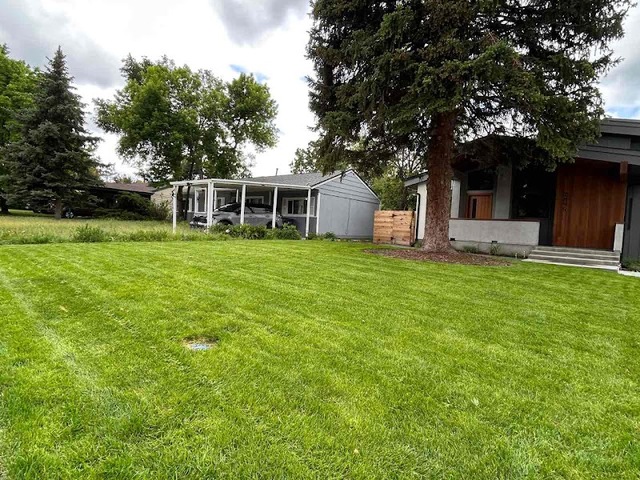 Lawn Love - Denver
