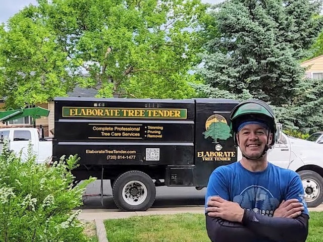 Elaborate Tree Tender