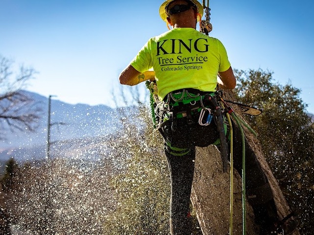 King Tree Service