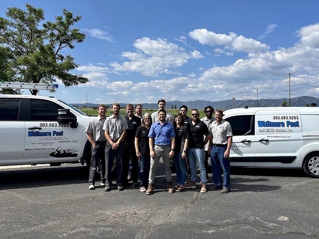 Whitmore Pest & Wildlife Control of Denver